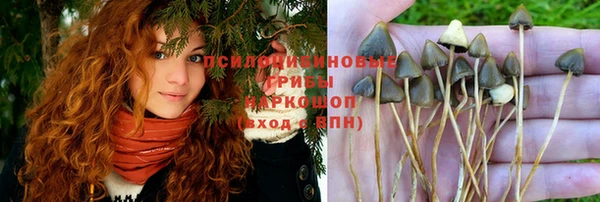стаф Пролетарск