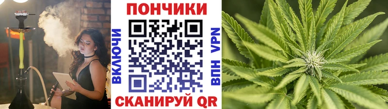 МЕГА онион  Нижнеудинск  Шишки марихуана Amnesia 